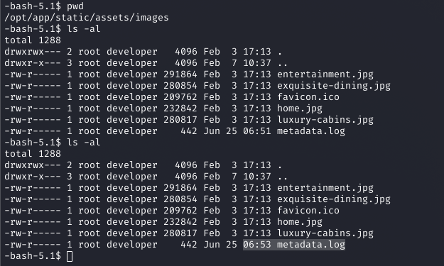 metadata
